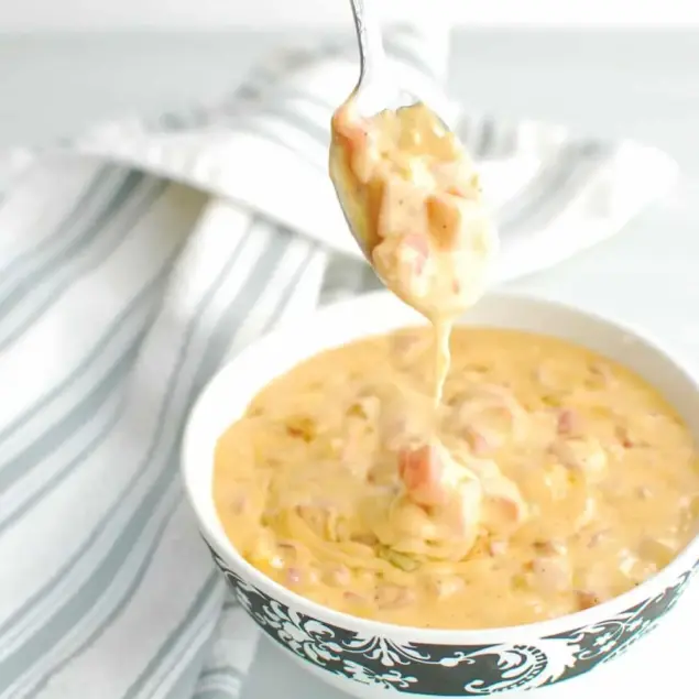 Keto Queso – Low-Carb Creamy Recipe front shot