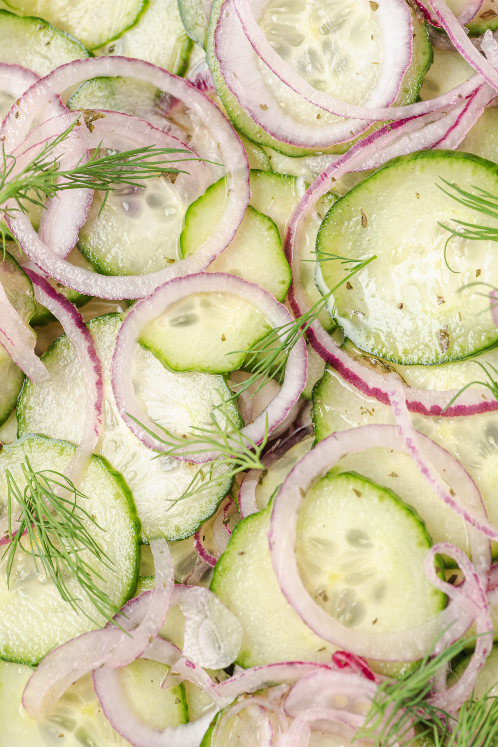 Cucumber and onion salad with thinly sliced red onions and fresh dill.