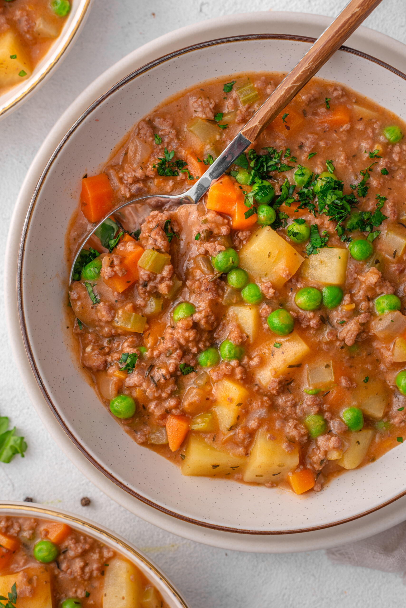 Hamburger Stew in a bowl close-up shot