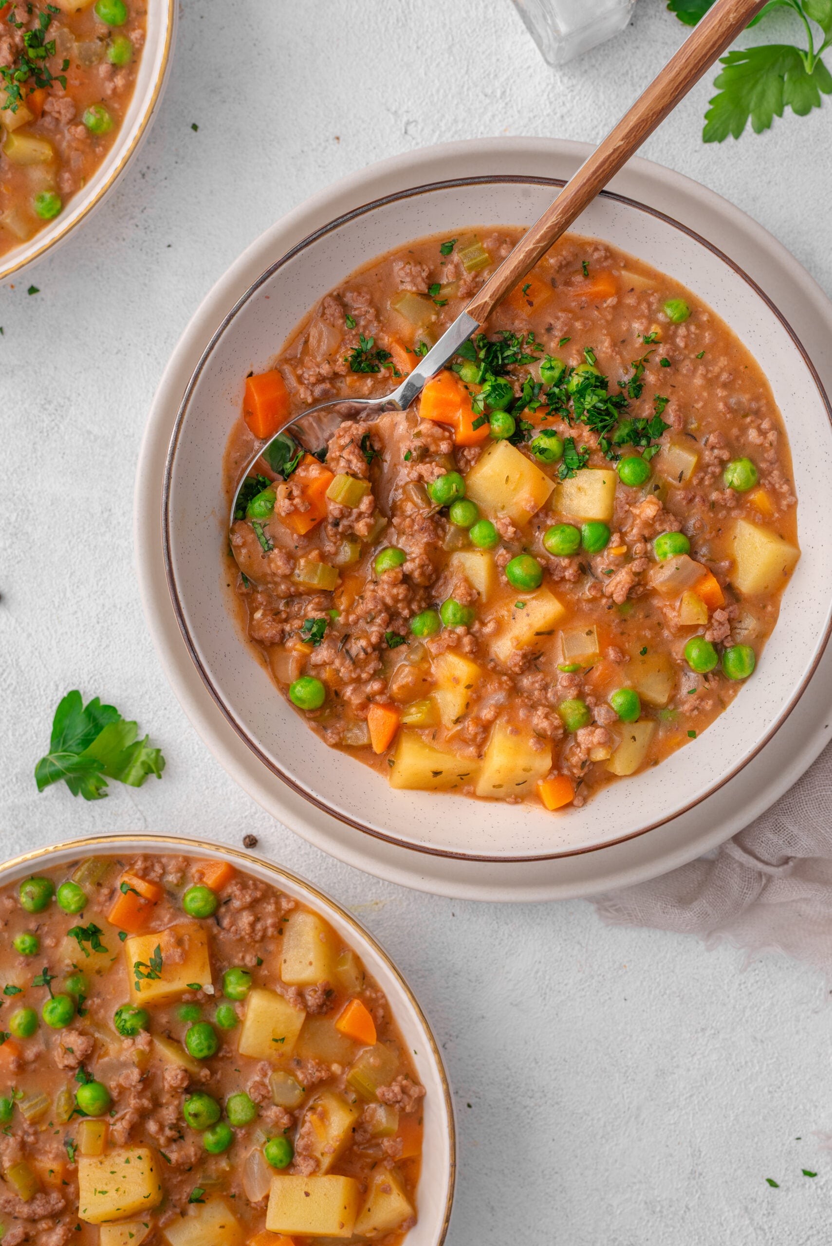 Hamburger Stew in a bowl shot from above