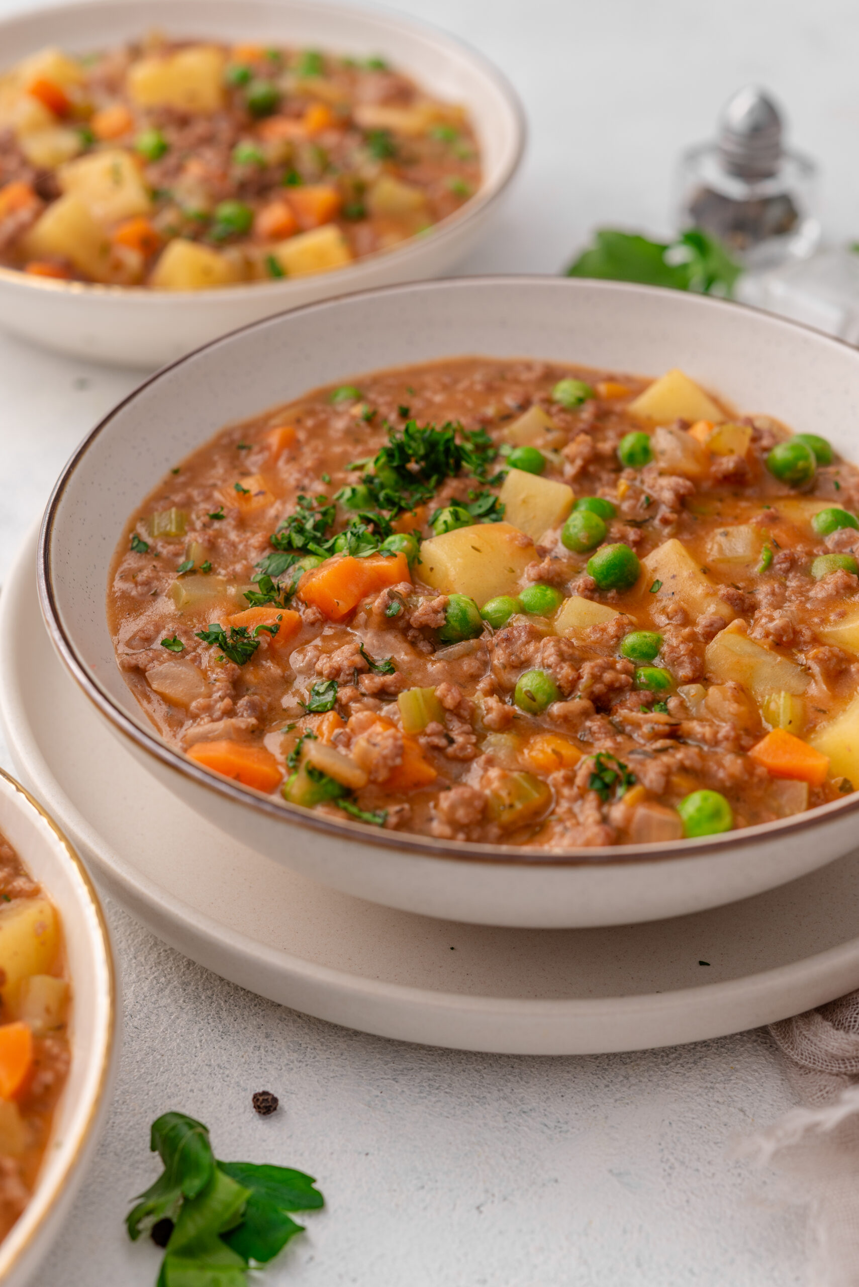 Hamburger Stew in a bowl diagonal shot