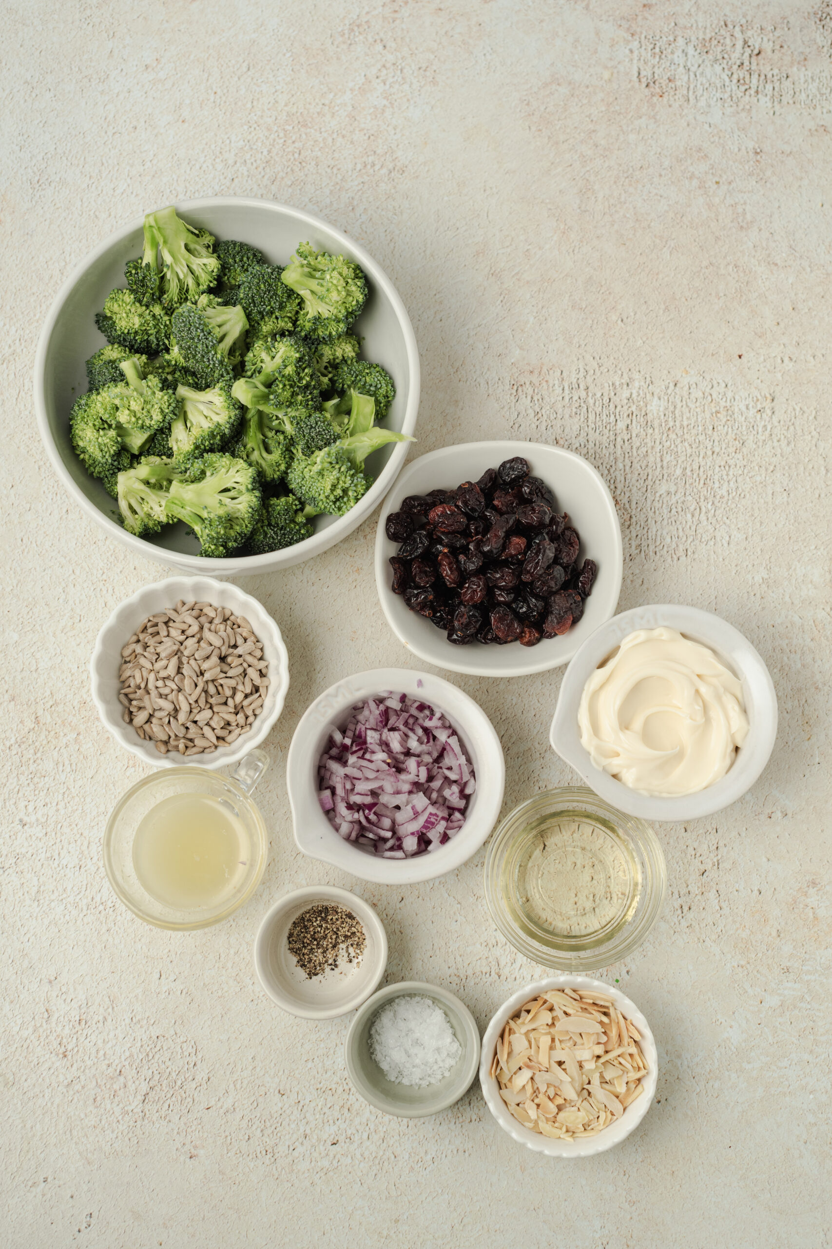 Broccoli Salad ingredients shot from above